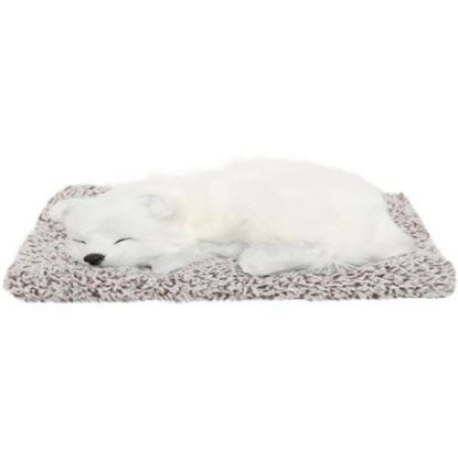 Picture of VOILA Sleeping Cute Dog for Car Dashboard and Home Decor with Activated Carbon for Decoration Toy Decorative Showpiece