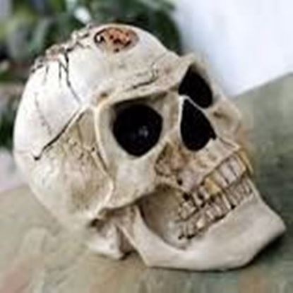Picture of Skull Cigarette Ashtray Creative Halloween Horror Decoration