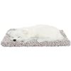 Picture of VOILA Sleeping Cute Dog for Car Dashboard and Home Decor with Activated Carbon for Decoration Toy Decorative Showpiece